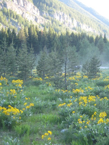 [SawtoothandJuly0414.jpg]
