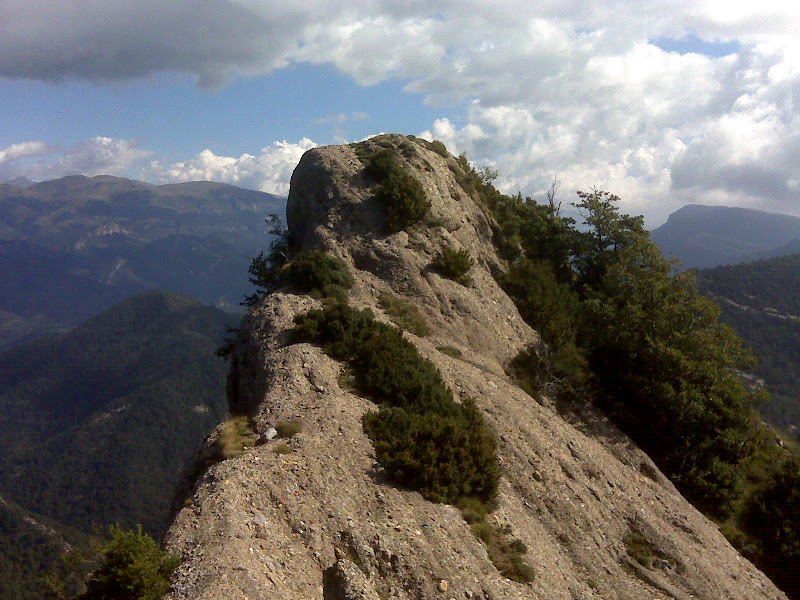Cim de la Roca Forcada (1.544 m.)
