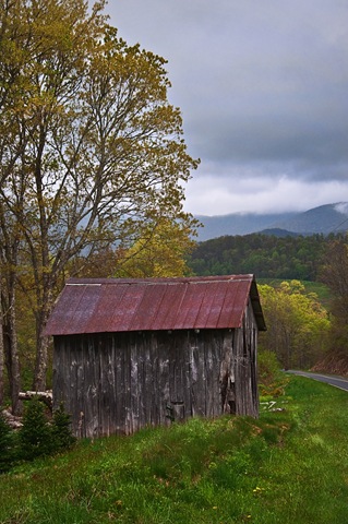[DSC_0296_for_Web[5].jpg]