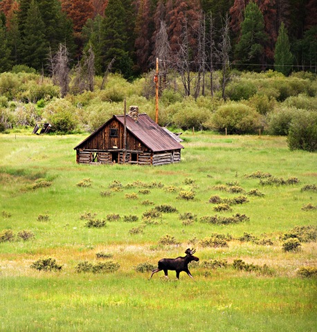 [DSC_3727-2[7].jpg]