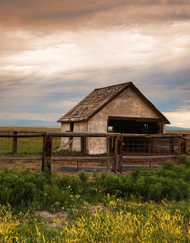 [DSC_4248-2[3].jpg]