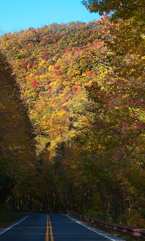 [DSC_670924.jpg]