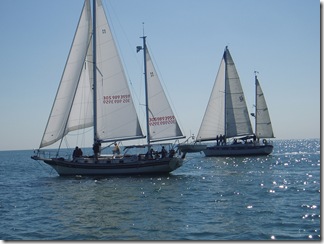 Shire Regatta 016