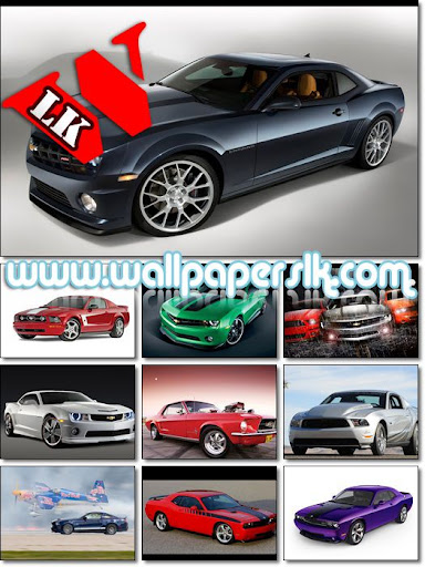 Muscle Cars Wallpapers Pack 8 Size 282 Mb Free Download