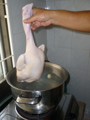 [P1010026[2].jpg]