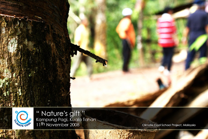 Natures gift