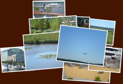 View National Harbor-Gaylord