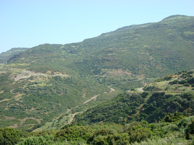 DSC01556.JPG