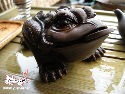 http://lh5.ggpht.com/_q2coGUymXUc/SY5atu9c3AI/AAAAAAAACvE/XtRIruTK8lY/s800/DSCN3679-2.jpg