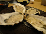 DSC00092.JPG