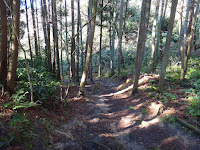 DSC00016.JPG Photo