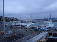 DSC00059.JPG
