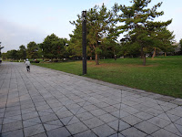 DSC00104.JPG Photo