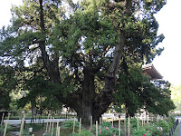 DSC00168.JPG
