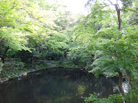 DSC00171.JPG