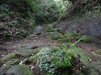 DSC00245.JPG Photo