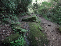 DSC00244.JPG Photo