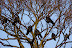 DSC02197.JPG