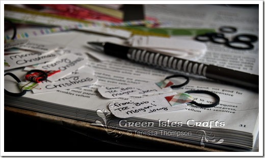 Pin-Pal-Tag-Supplies
