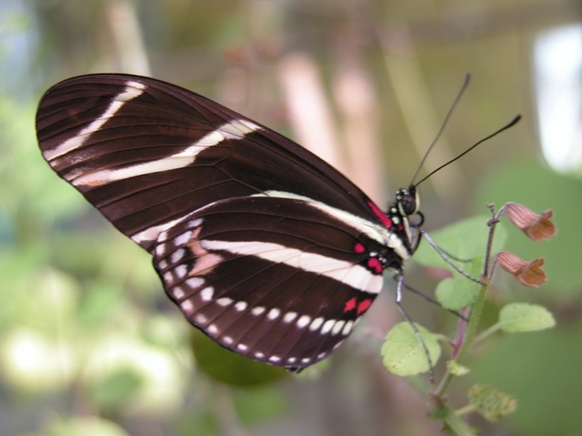 [DSCN00811.jpg]