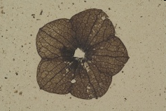 [image27.png]