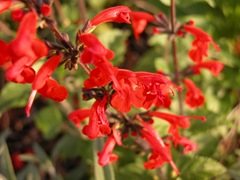 DSCN0838