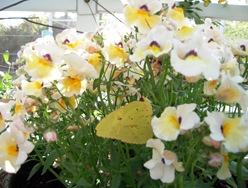 DSCN4969