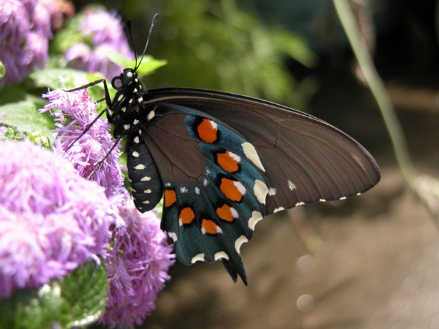 [DSCN01777.jpg]