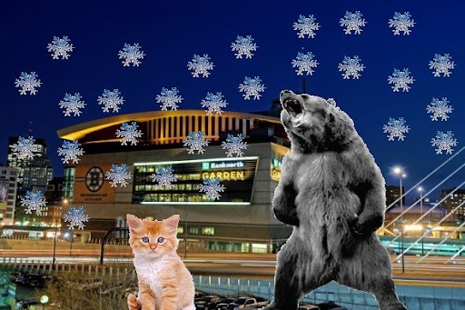 Game Day Preview (Abbreviated) - Kitties vs Bears