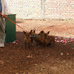 DSCF5423.JPG