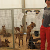 DSCF5421.JPG