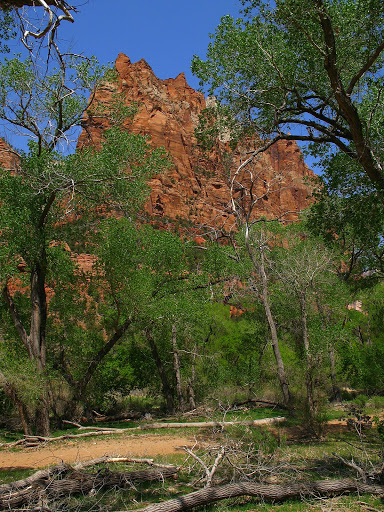 zion