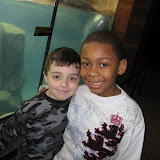 Zoo 2010 Aidan Jayon