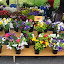 HerrFlowers.JPG