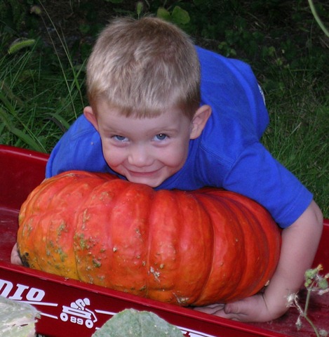 [Picking Pumpkins 5[1].jpg]