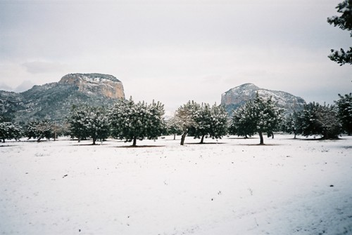 Muntanyes d'Alar&oacute;