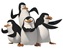 penguinyl2