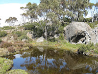 small pool and gums Photo