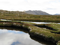 Cushion plants. ponds and Florentine Peak Photo