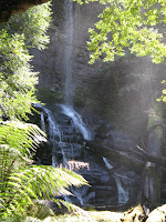 IMG_4918.JPG Photo