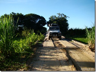 110215 Pantanal (11)