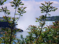 Mist of the falls ... through some foliage