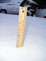 6 Inches in Front
