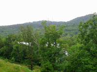 View From Patio 2