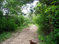 Walking Trail? Or Boat Ramp?