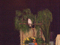 Parrot Show