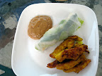 Chicken satay and fresh spring rolls with peanut sauce.