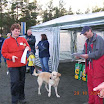 landskamp_2005_011.jpg