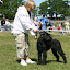 IMG_6356_.jpg