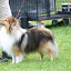 IMG_8173-1.jpg
